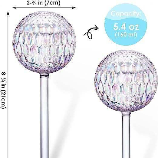 Thats So Posh 2 Piece Watering Globe Set