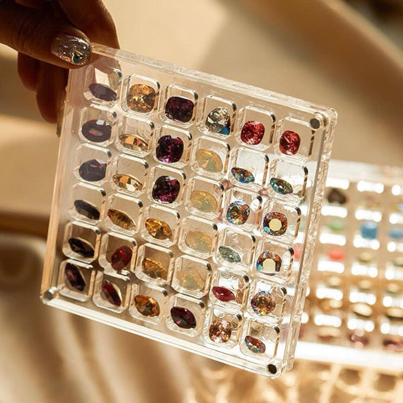 Seashell Display case