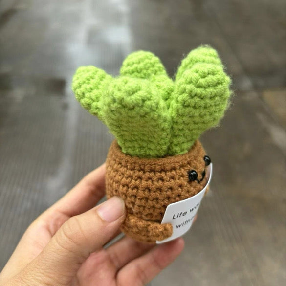 Knitted Succulent