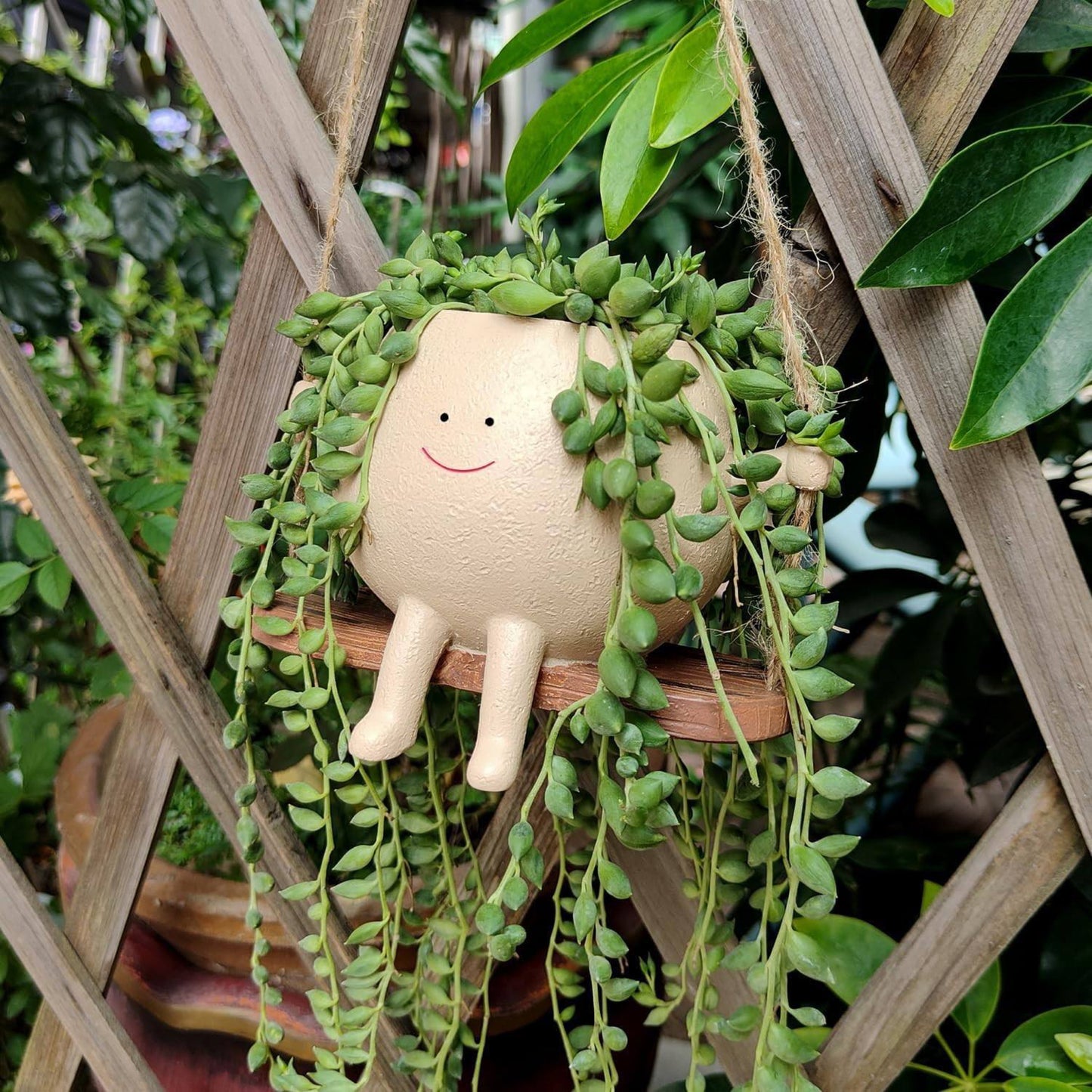 Swinging Planter Pot