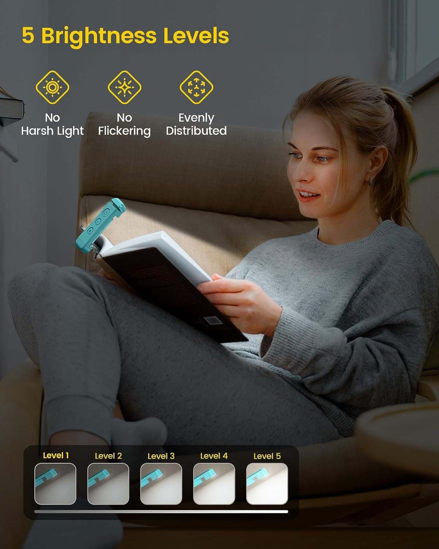 Clip book light