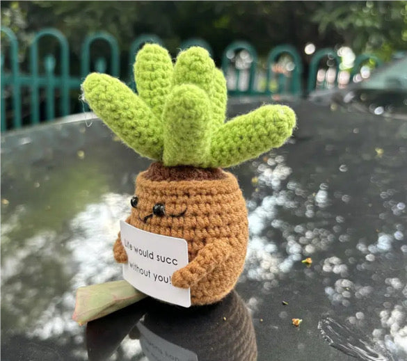 Knitted Succulent