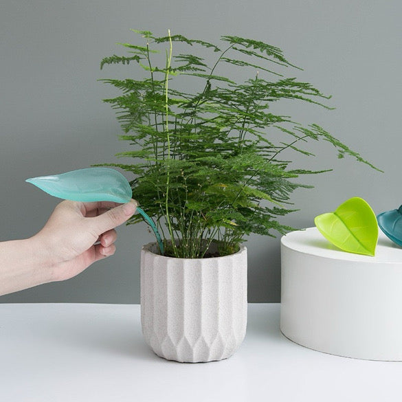 Leafy Funnels