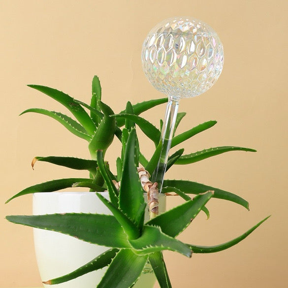 Thats So Posh 2 Piece Watering Globe Set