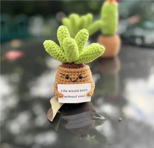 Knitted Succulent