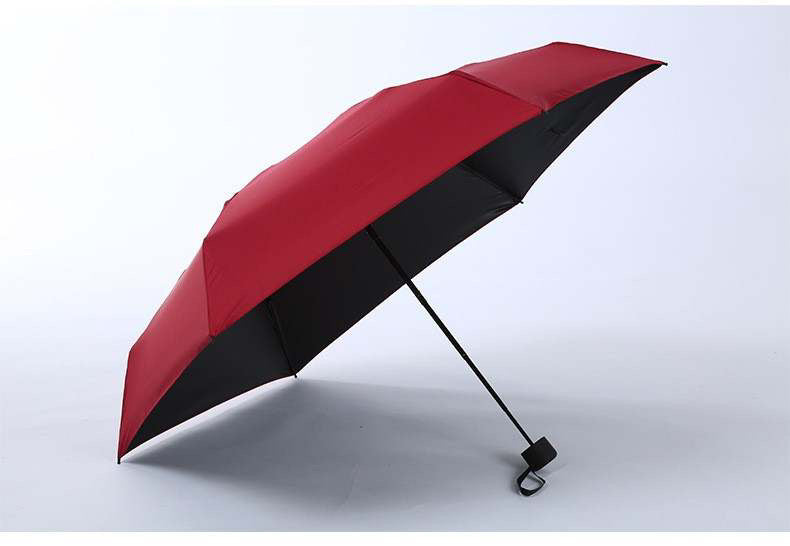 Spring Fling Umbrellas