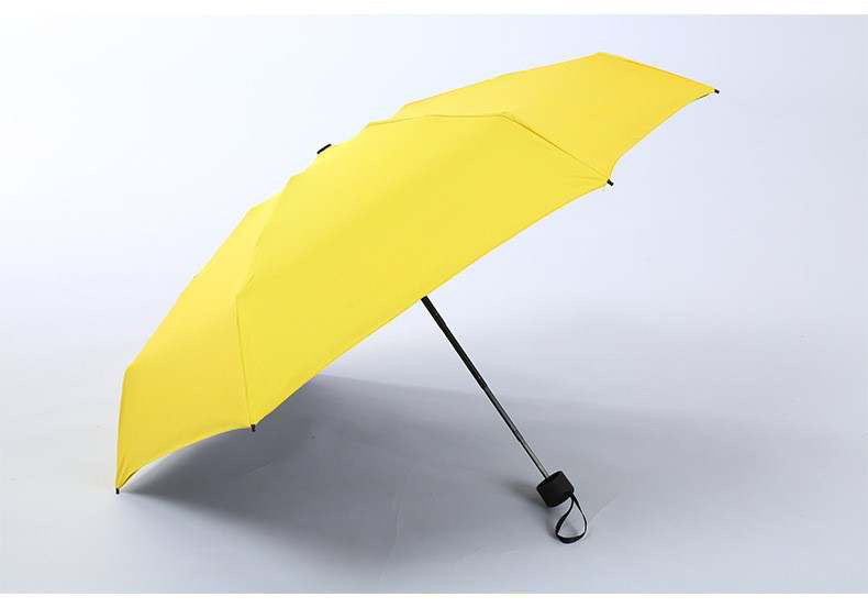 Spring Fling Umbrellas