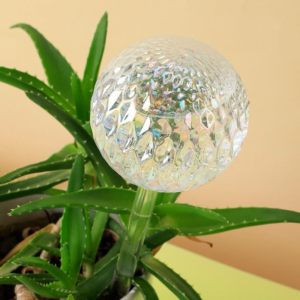 Thats So Posh 2 Piece Watering Globe Set