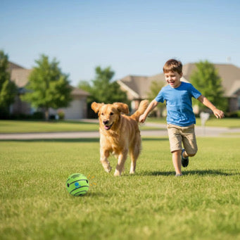 Interactive Dog Ball