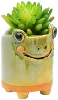 Animal Friends Ceramic Pot