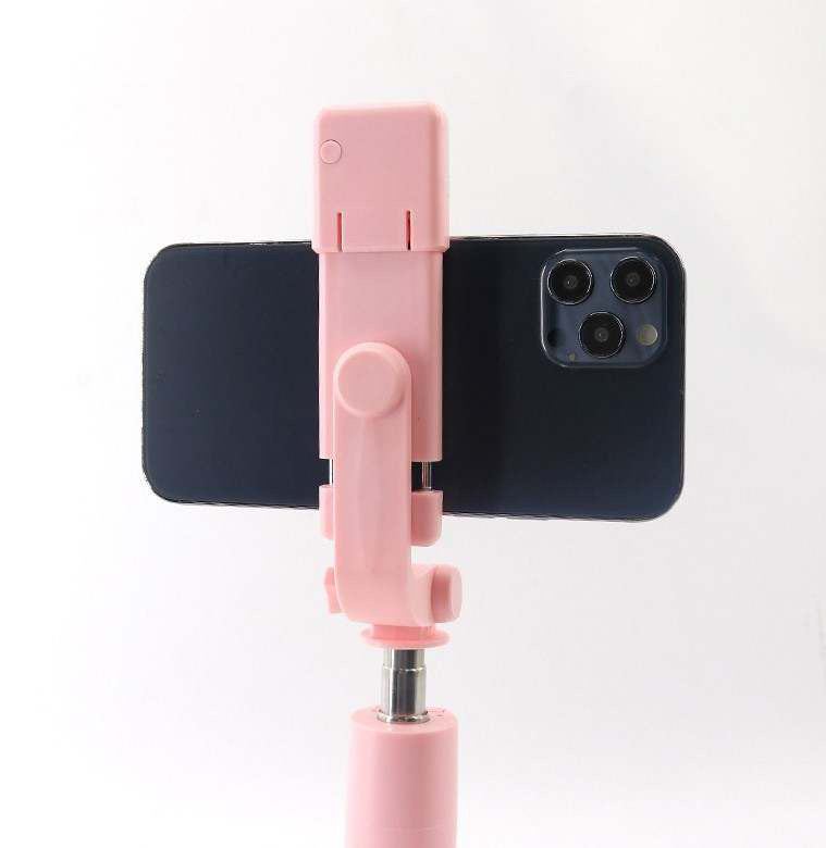 Selfie stick
