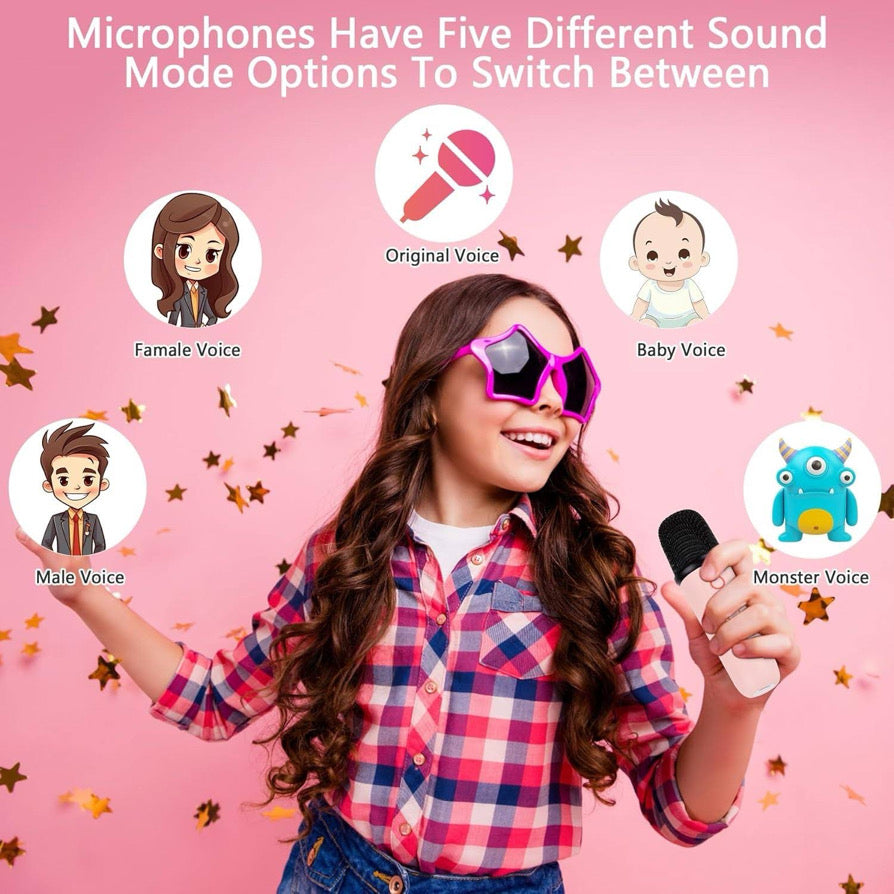 Party At My Place Karaoke And Mic Set