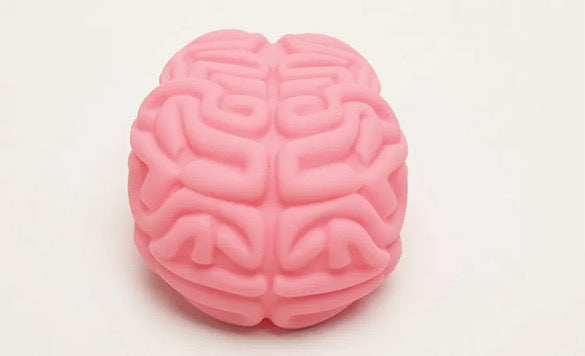 Brain Squeeze Toy