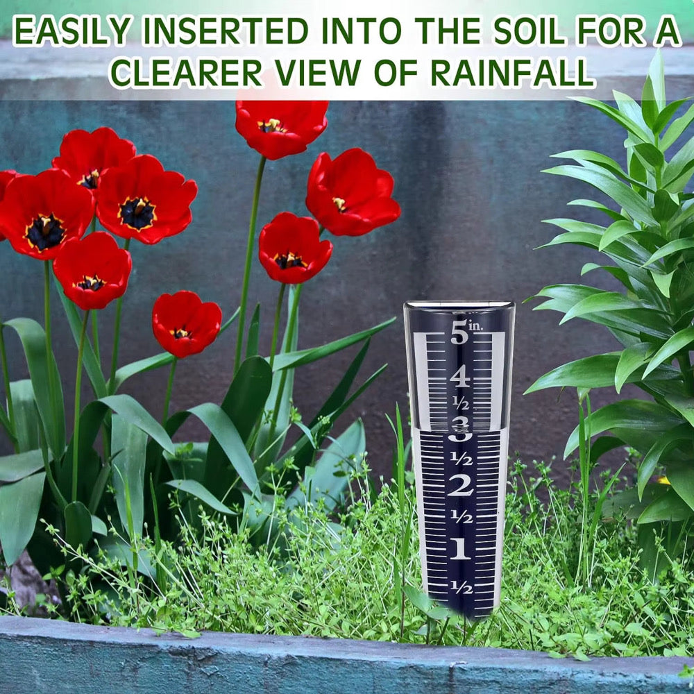 Rain Gauge