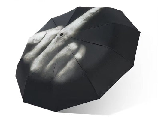 Middle Finger Umbrella