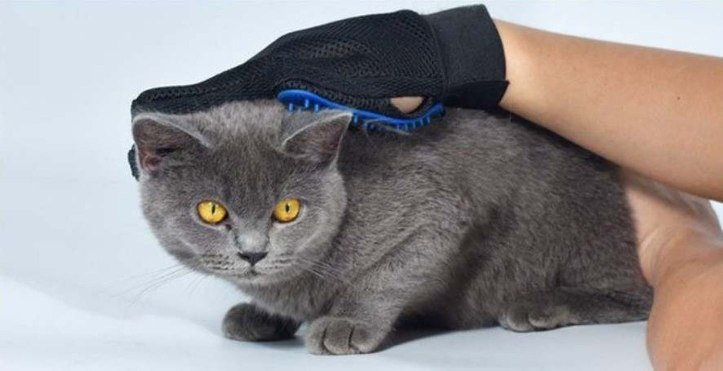Pet Grooming Glvoes