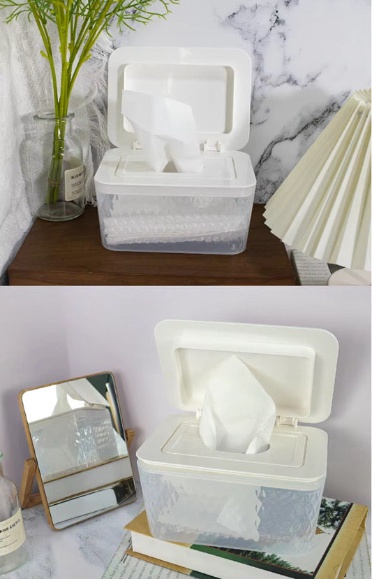 Wipes Container