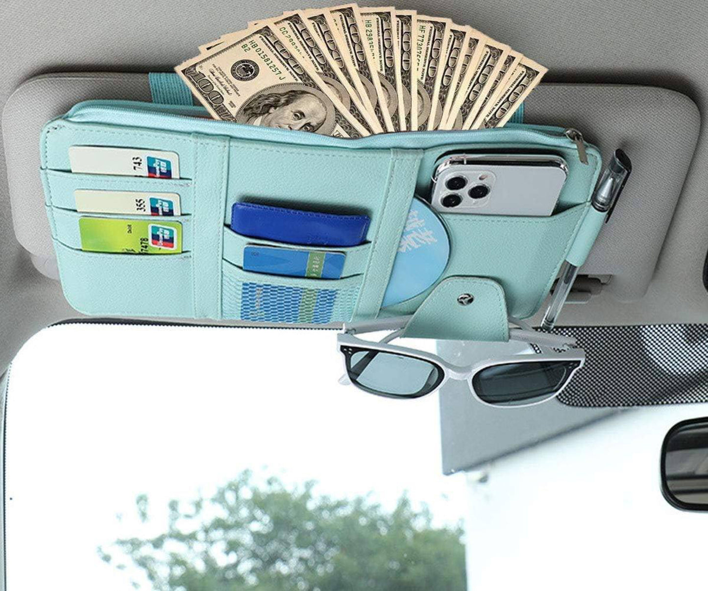 Genius Visor Organizer