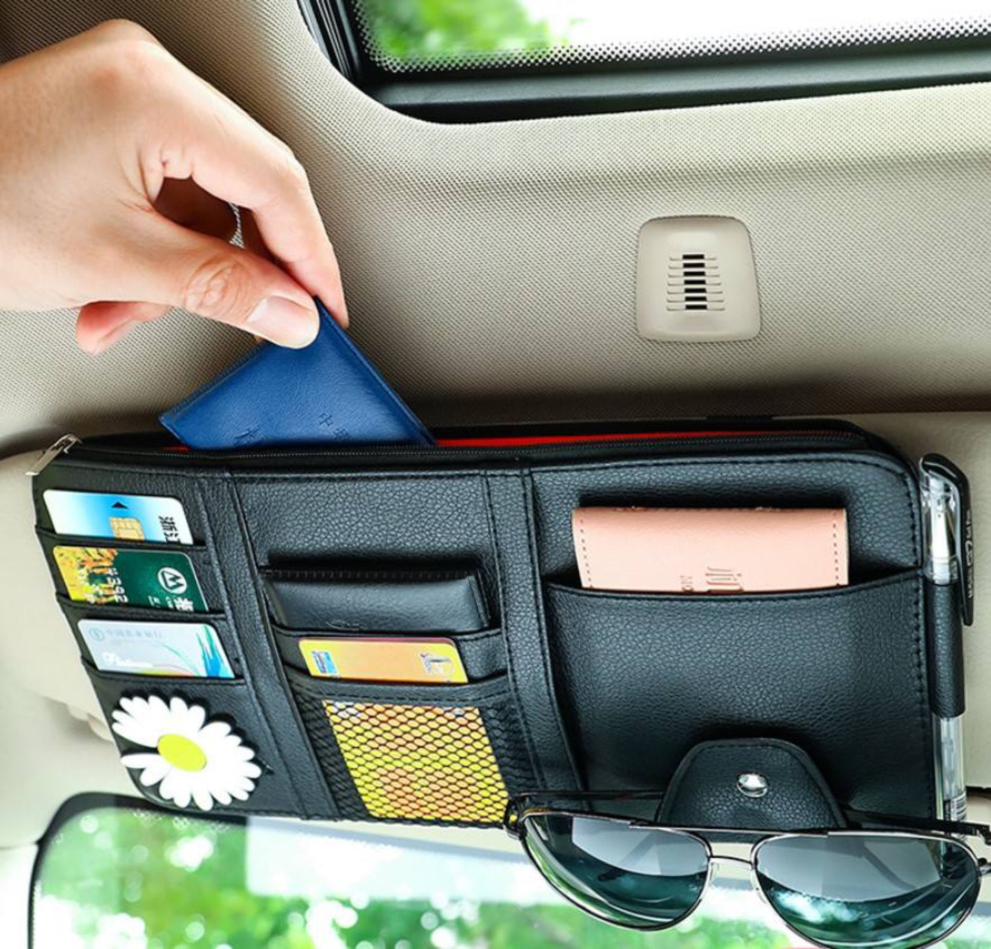 Genius Visor Organizer