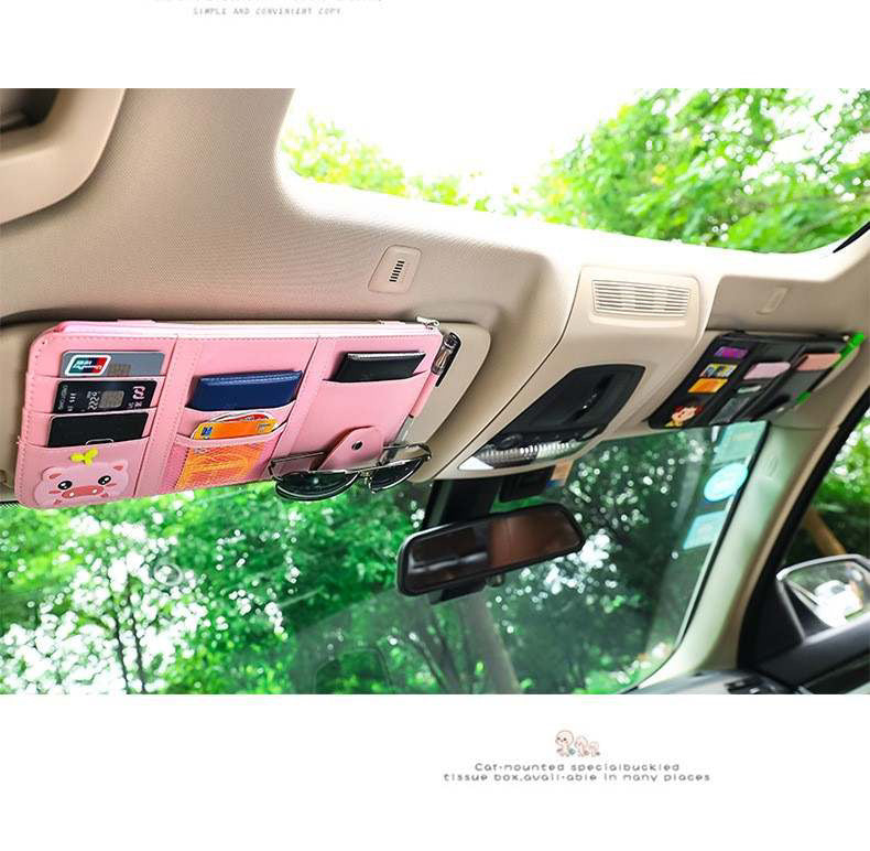 Genius Visor Organizer