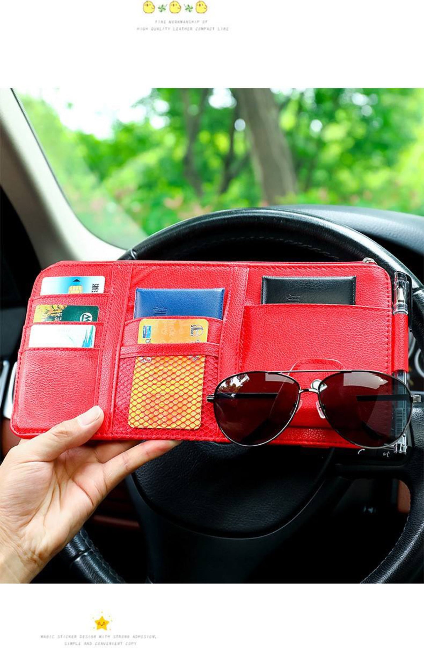 Genius Visor Organizer