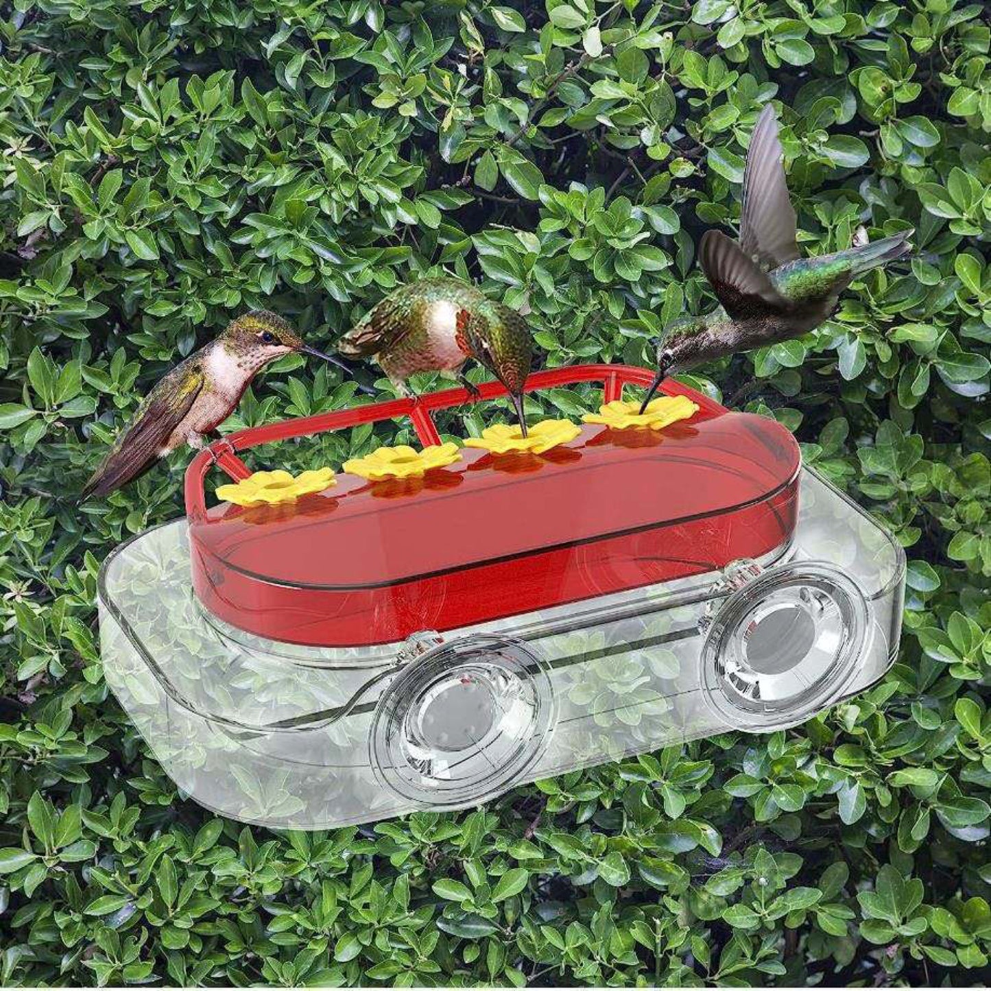 Suction Hummingbird Feeder