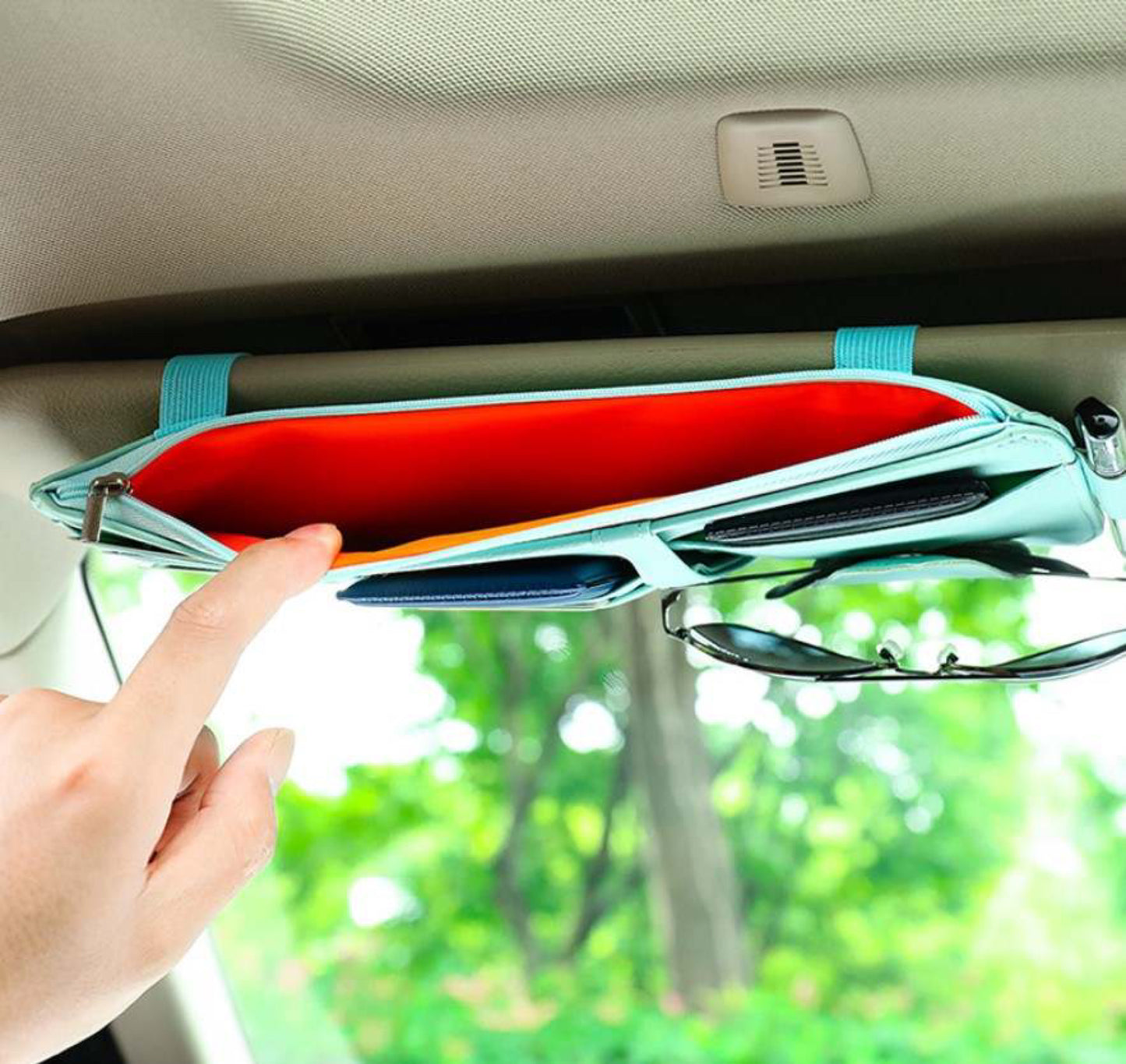 Genius Visor Organizer
