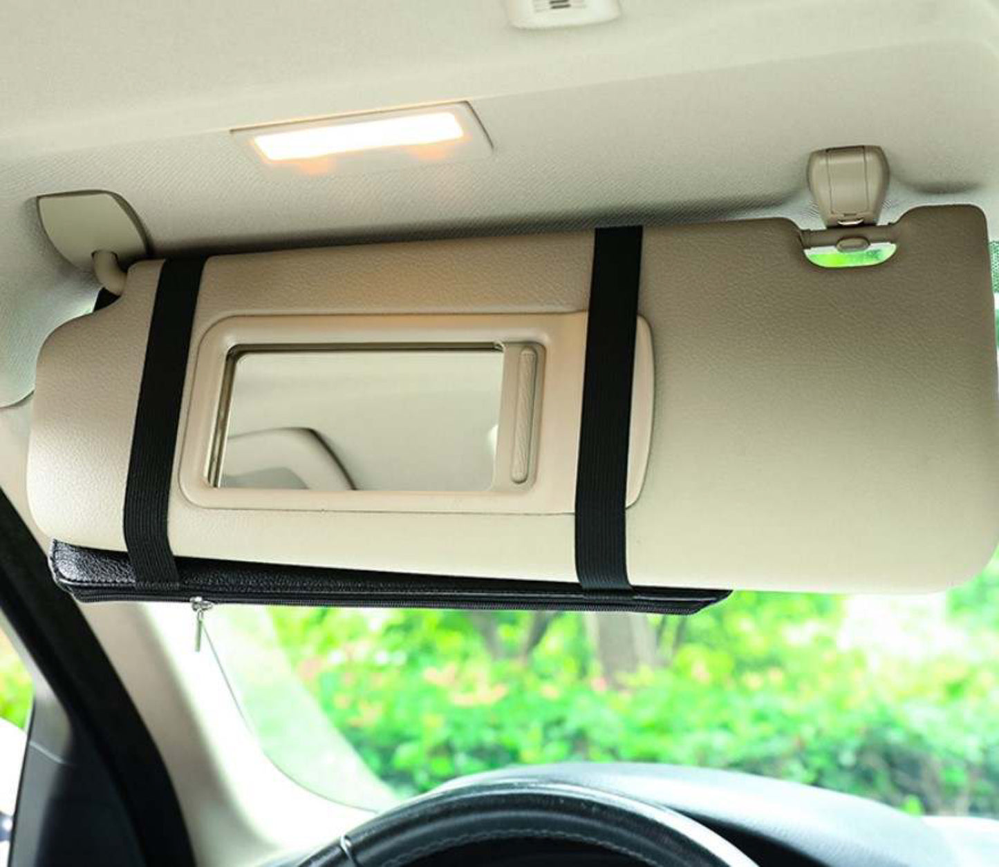 Genius Visor Organizer