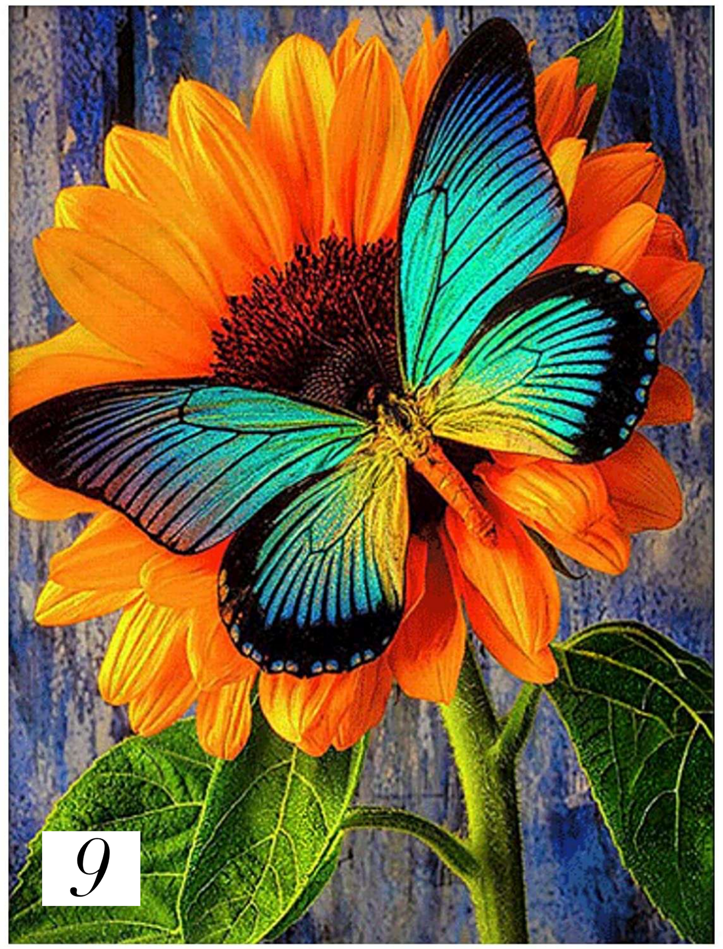Butterfly Paint with Diamonds