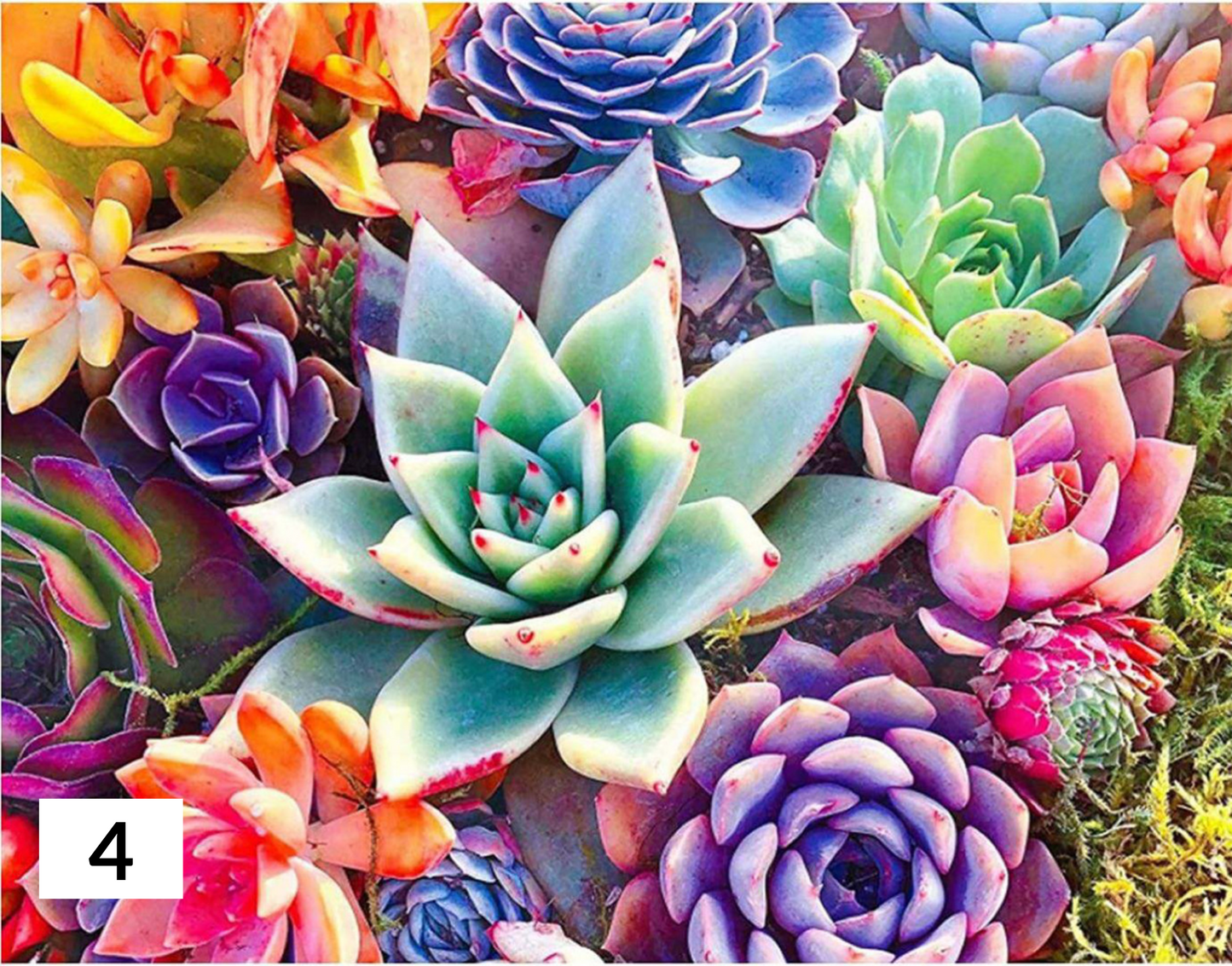 Fun Paint with Diamonds