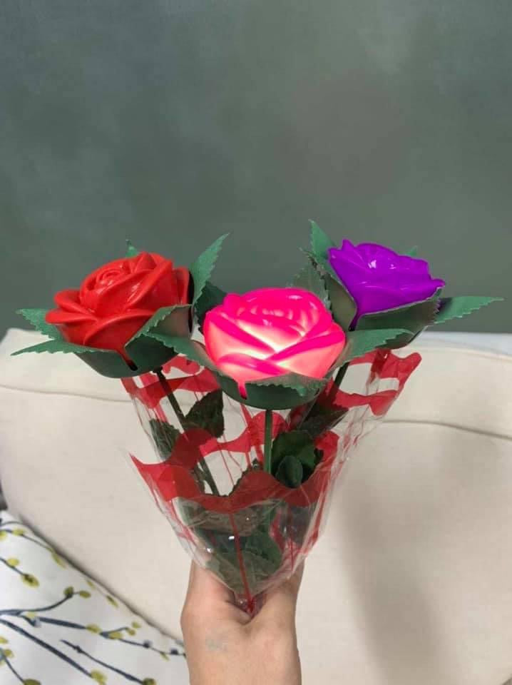 LED Roses