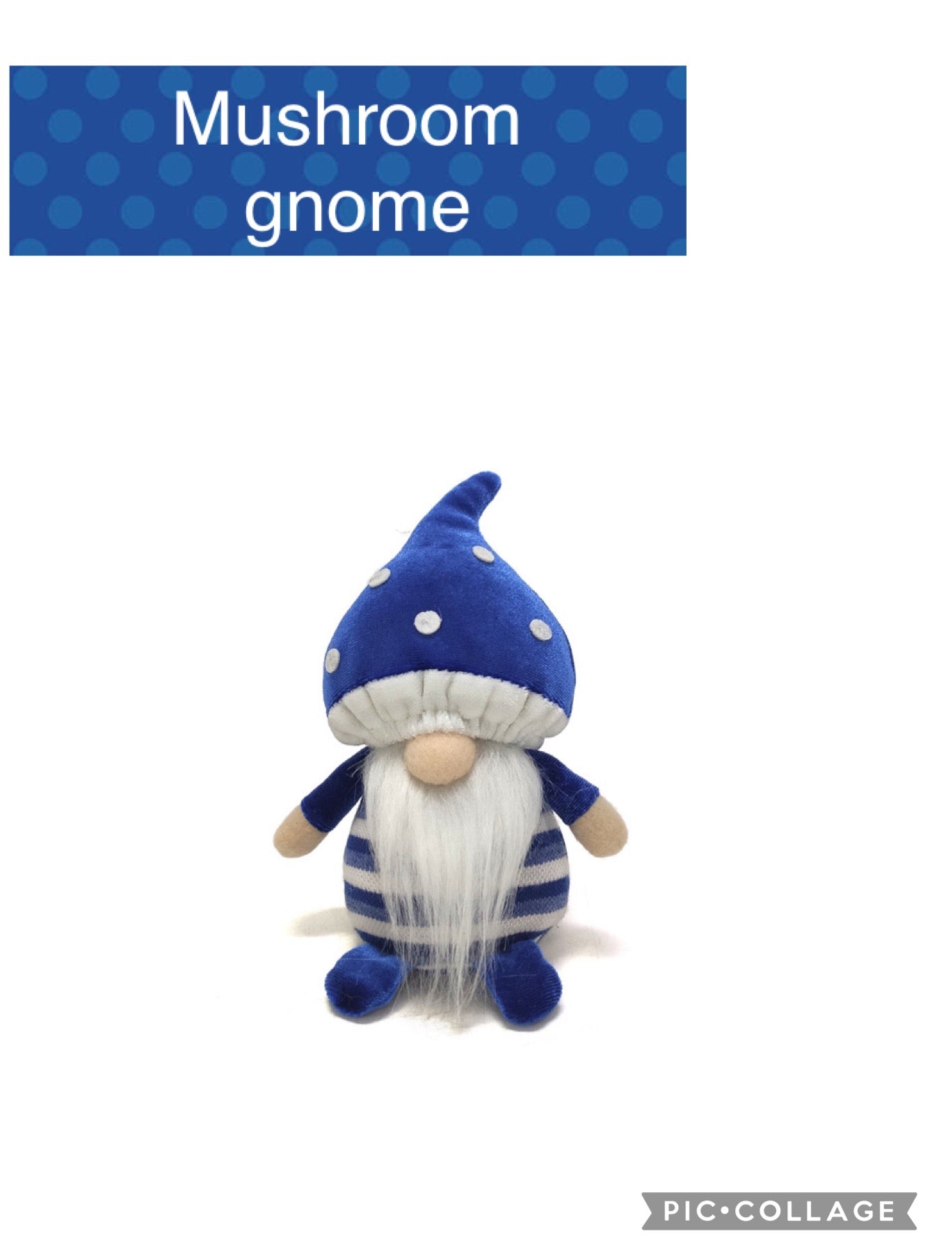 Billy The Blue Mushroom Gnome