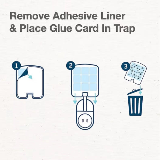 Indoor Adhesive Fly Trap