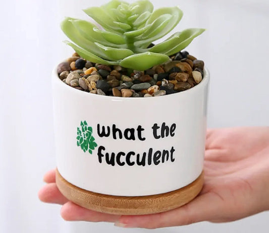 Fun Quoted Pots For Succulents