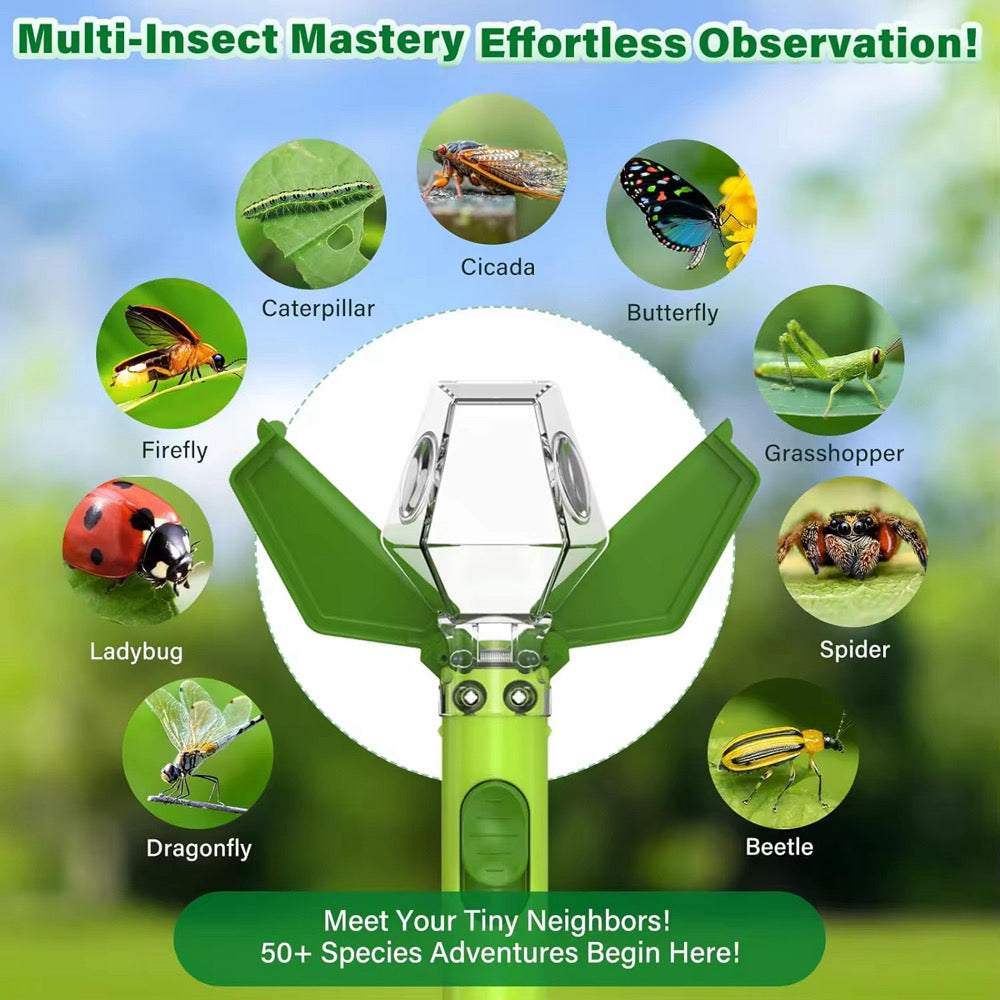 AdventureCatch Insect Trap