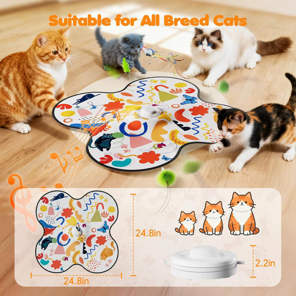 Catch Meow If You Can