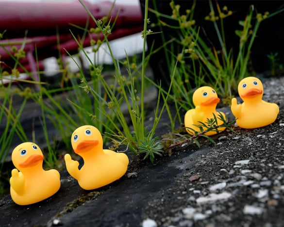 4 Piece Rubber FU Duckies (