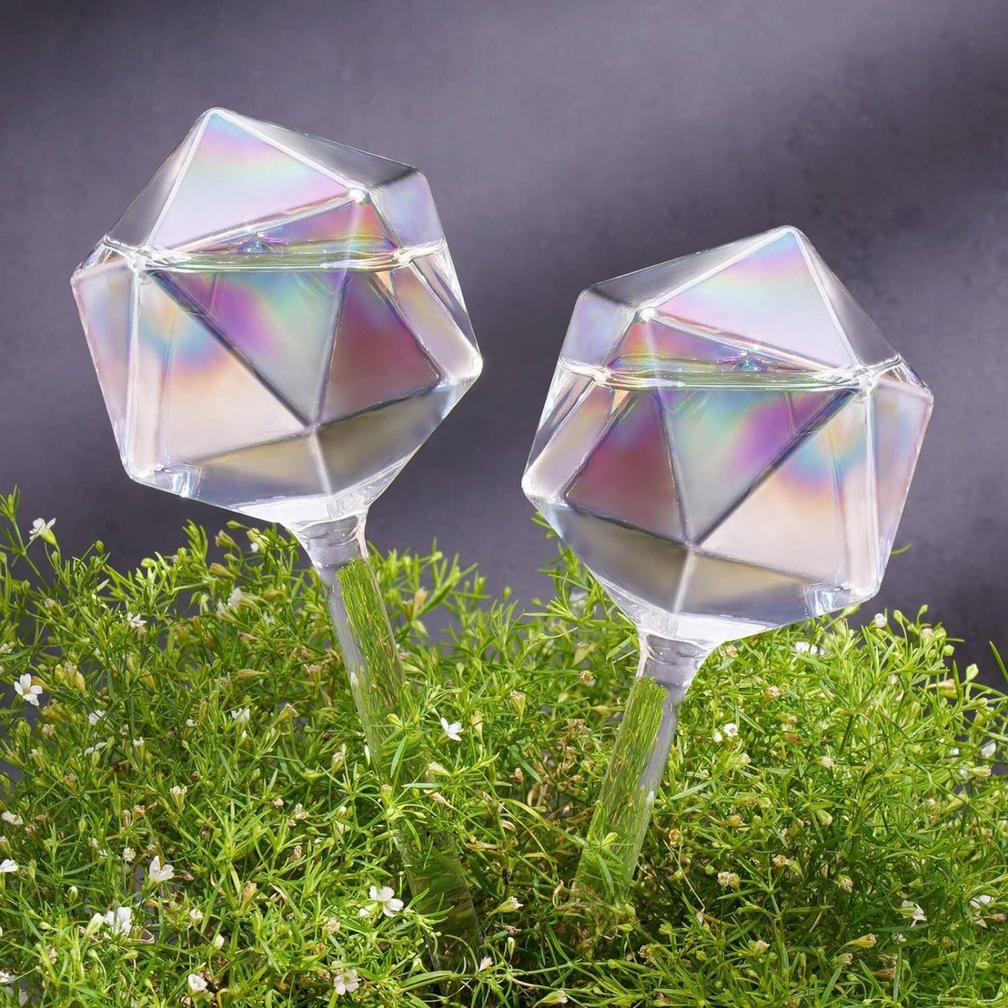 2 Piece Glamourous Watering Globes