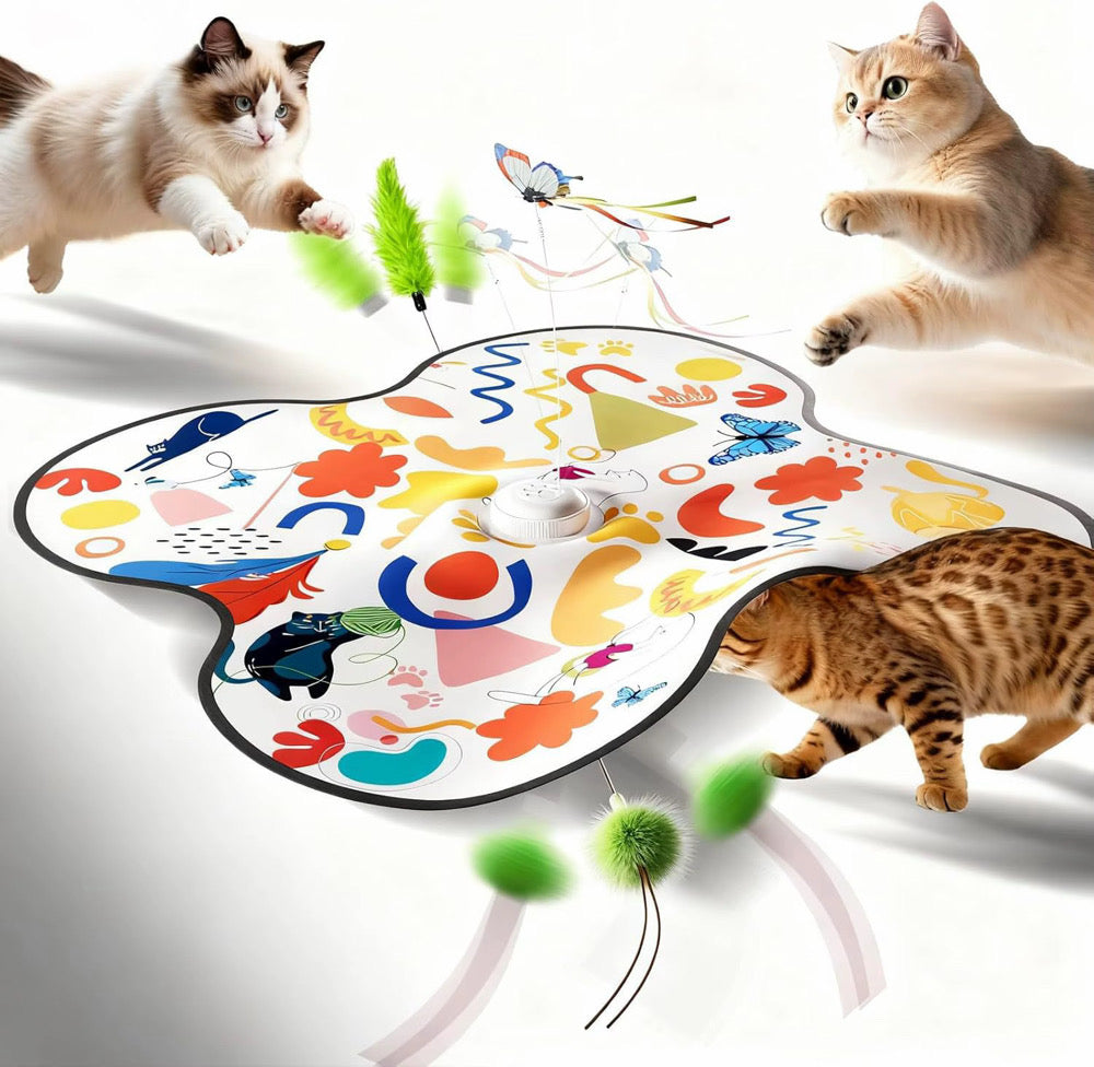 Catch Meow If You Can