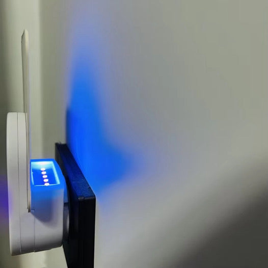 Indoor Adhesive Fly Trap