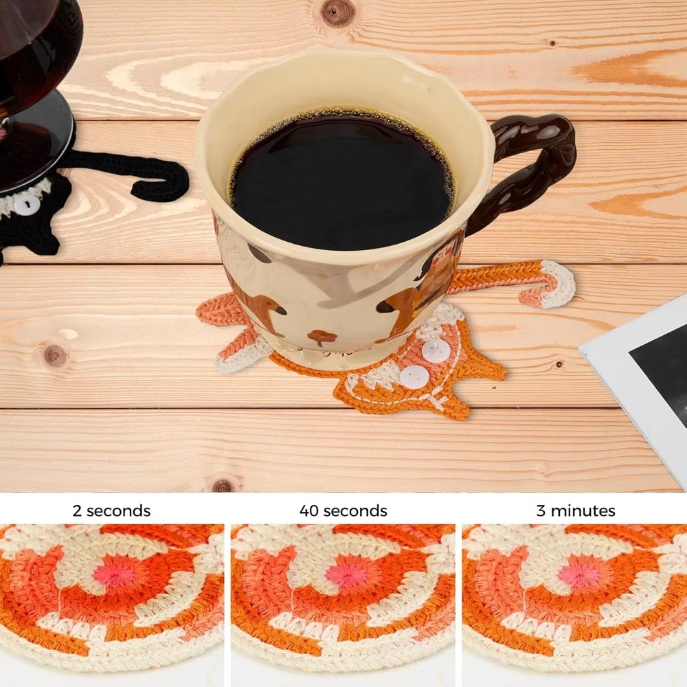 Crazy Cat Lady Coasters