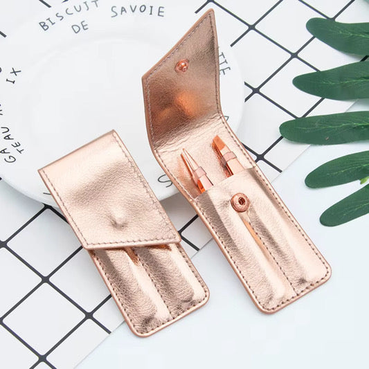 Stainless Steel Tweezer Set