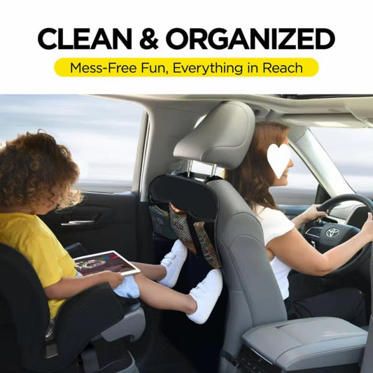 2 Piece Back Seat Organizer