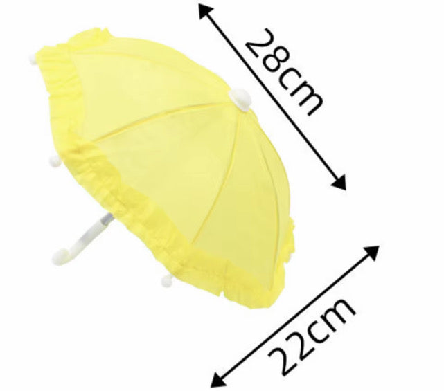 3 Piece Porch Raincoat Goose Outfit