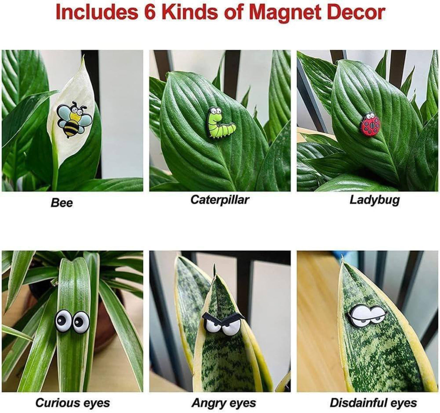 Fun Plant Magnets