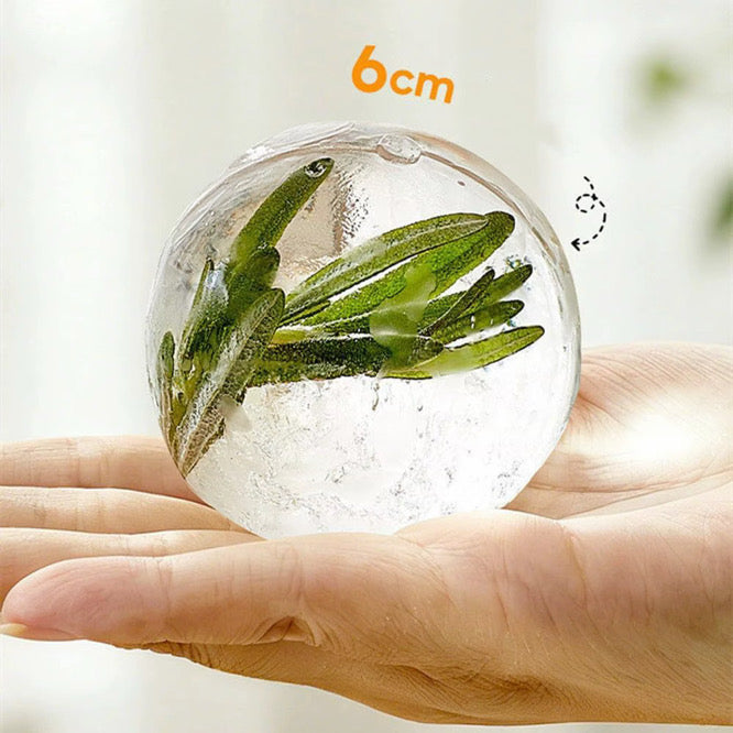 2 in 1 Ice Ball Maker