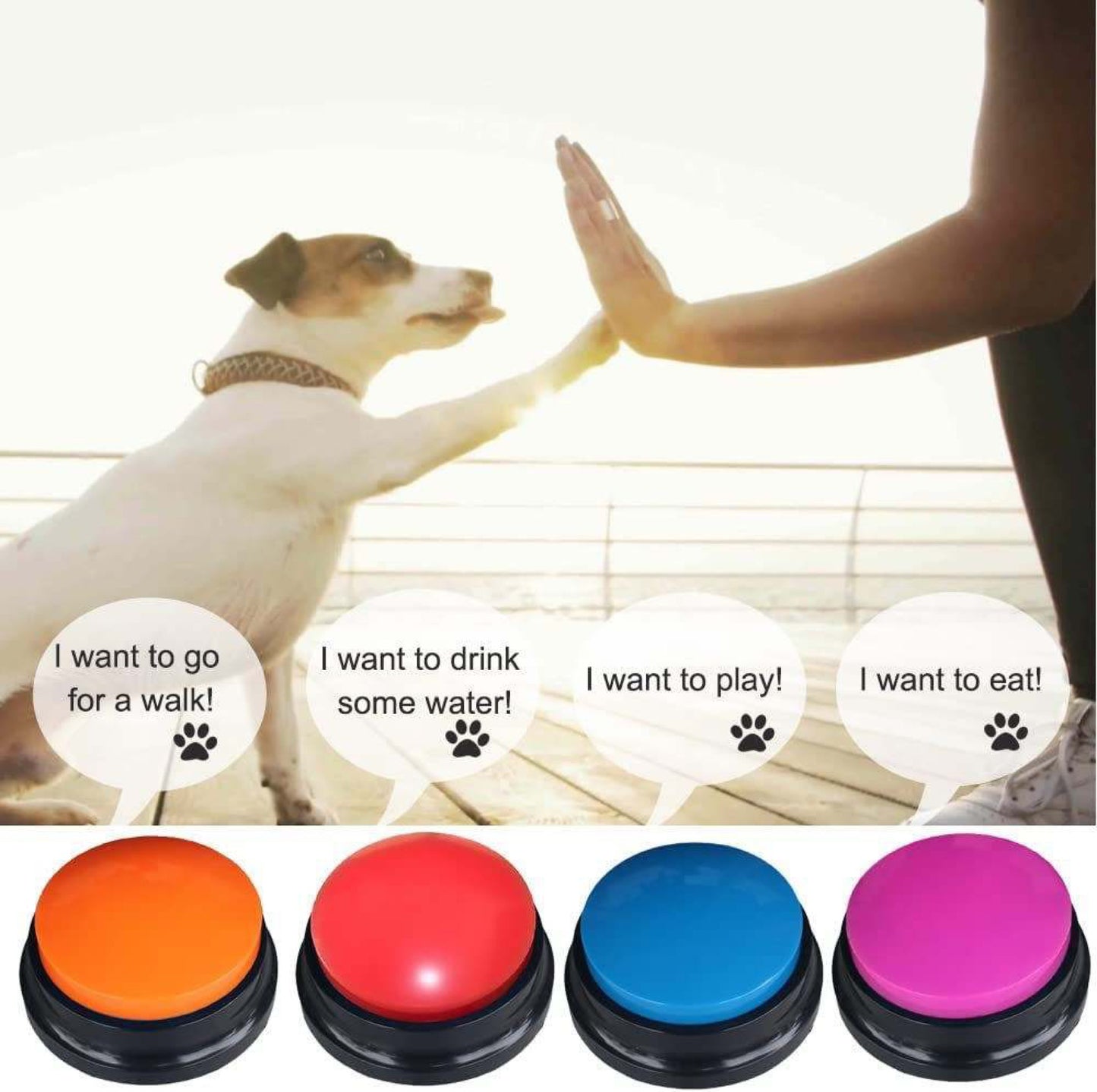 Dog Recording Button A