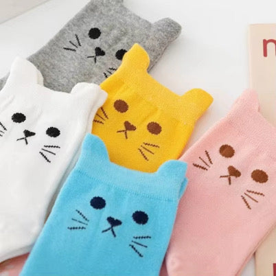 Paw-some Set of 5 Socks