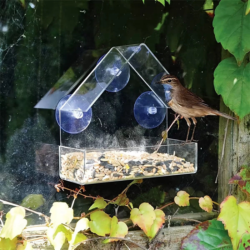 The Clear View Bird Feeder