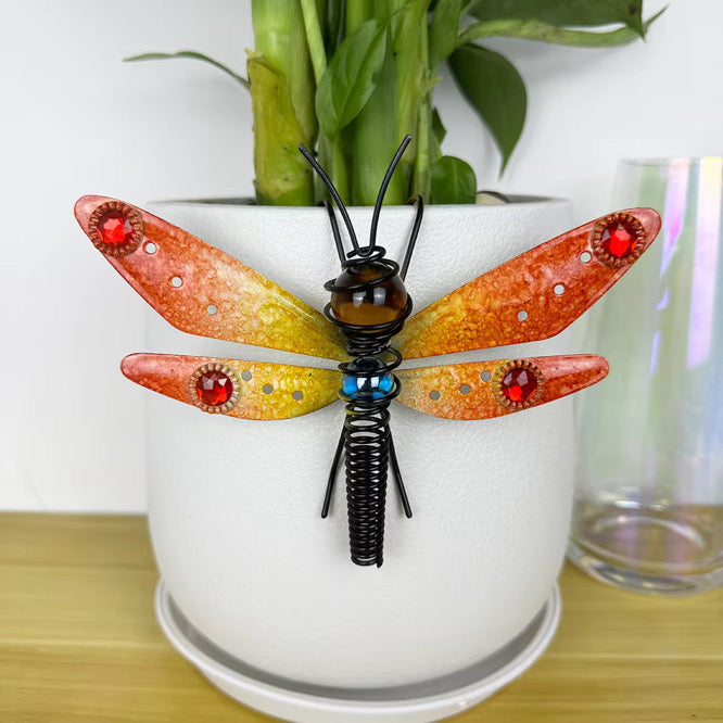 Hang With the Dragonflies